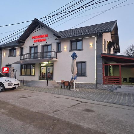 Pensiunea Antonia Sighetu Marmaţiei Dış mekan fotoğraf