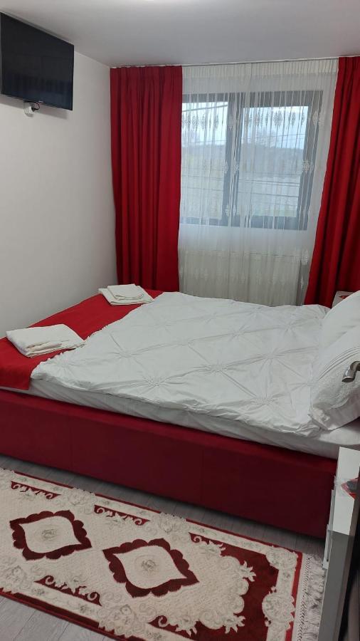 Pensiunea Antonia Sighetu Marmaţiei Dış mekan fotoğraf