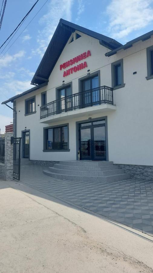 Pensiunea Antonia Sighetu Marmaţiei Dış mekan fotoğraf