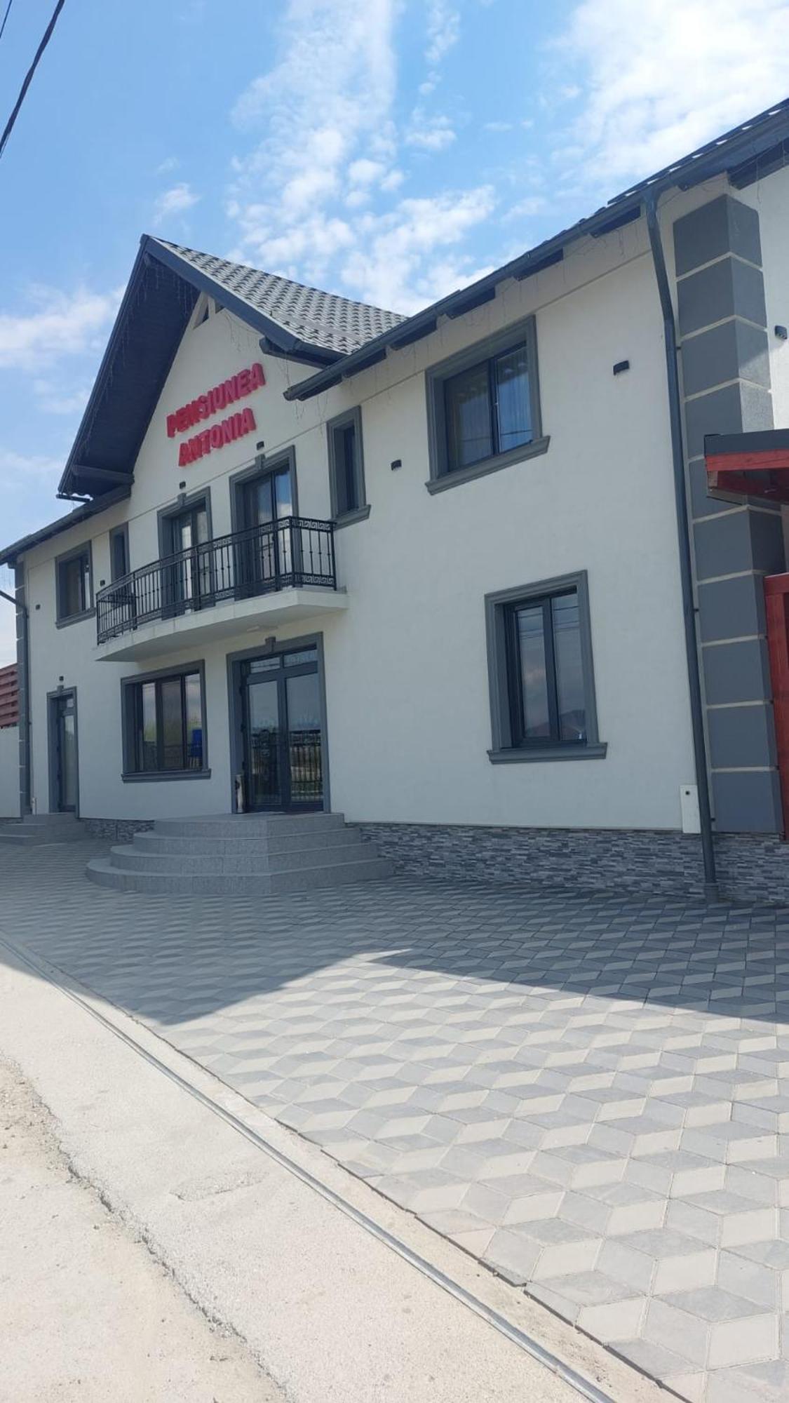 Pensiunea Antonia Sighetu Marmaţiei Dış mekan fotoğraf