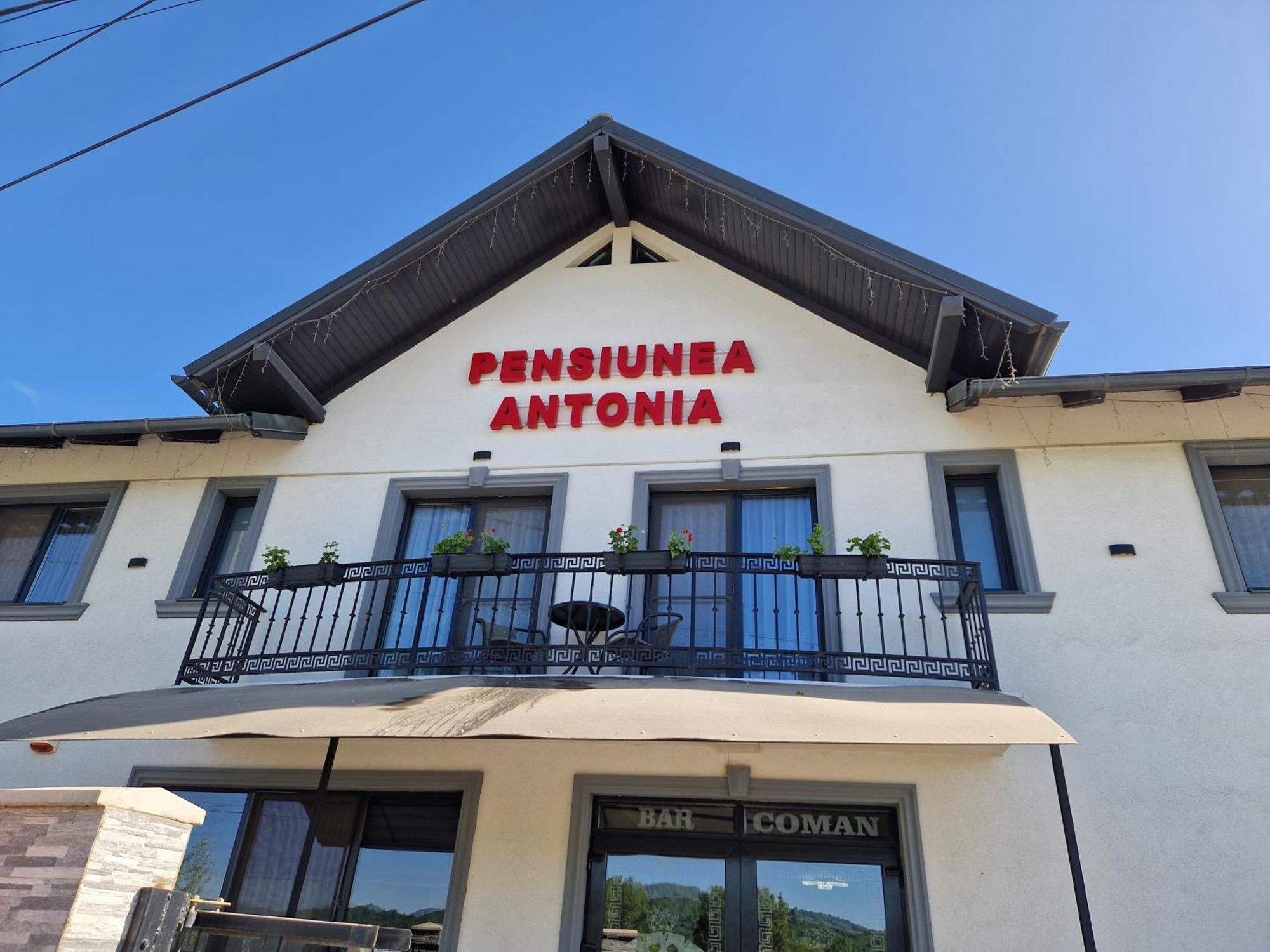 Pensiunea Antonia Sighetu Marmaţiei Oda fotoğraf