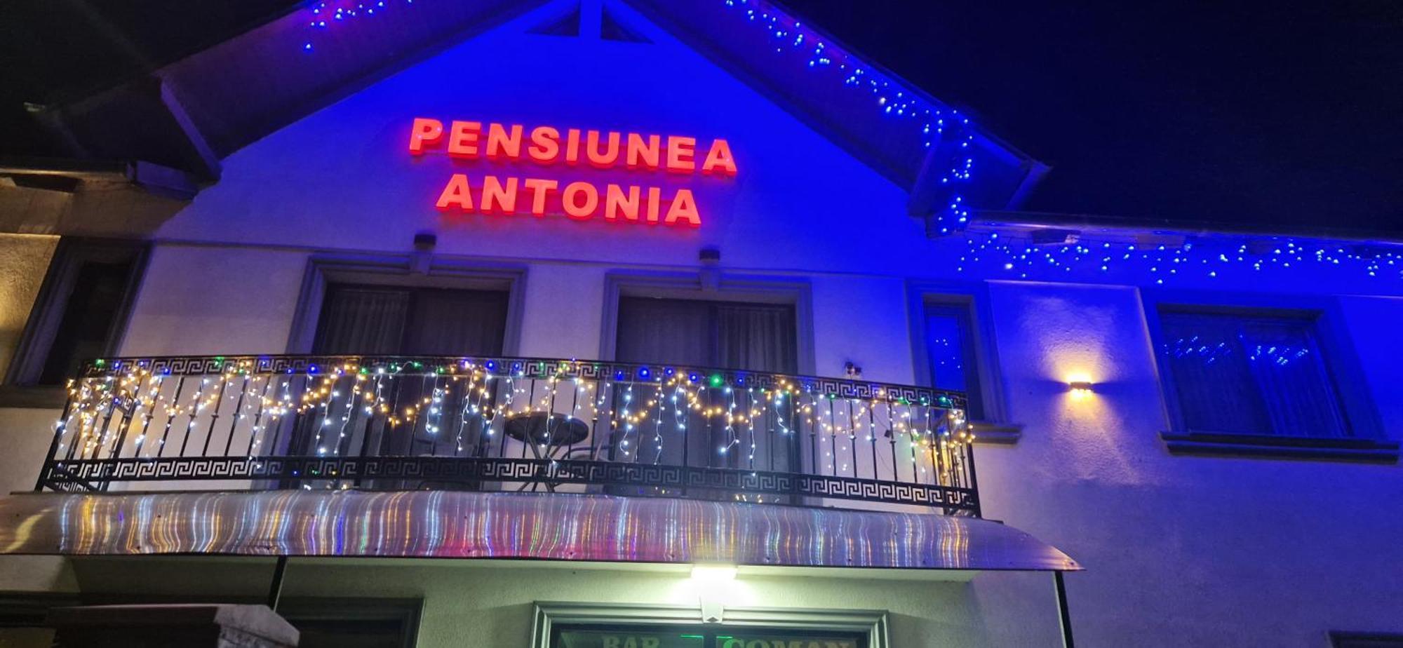 Pensiunea Antonia Sighetu Marmaţiei Dış mekan fotoğraf